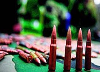 The bullets were found at a roadside by local people under Kulathupuzha police limits in Kollam district